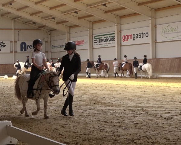 Reitturnier Ochtrup 2023