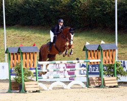 jumper Light Eye Joe (Hanoverian, 2011, from Laith)
