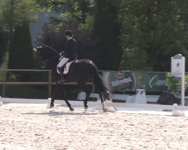 Reitturnier St. Ulrich am Pillersee 2023