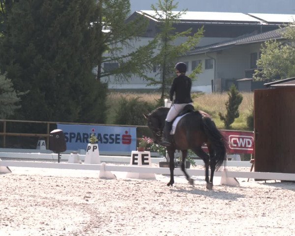 Reitturnier St. Ulrich am Pillersee 2023