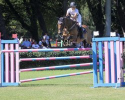 jumper Ascot (KWPN (Royal Dutch Sporthorse), 2005, from Timeless)