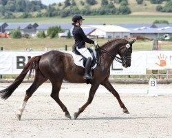dressage horse Rivana Royal (Oldenburg, 2012, from Royal Doruto OLD)