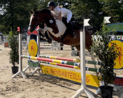 jumper Fleur (KWPN (Royal Dutch Sporthorse), 2011)
