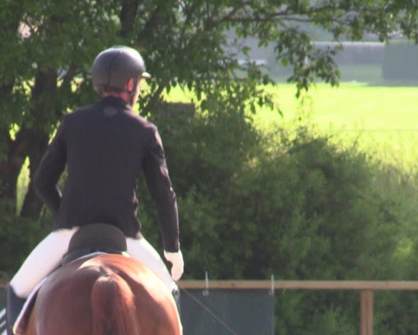 Reitturnier St. Ulrich am Pillersee 2023