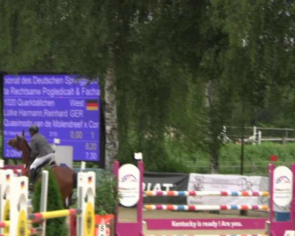 Reitturnier Schwerte 2023