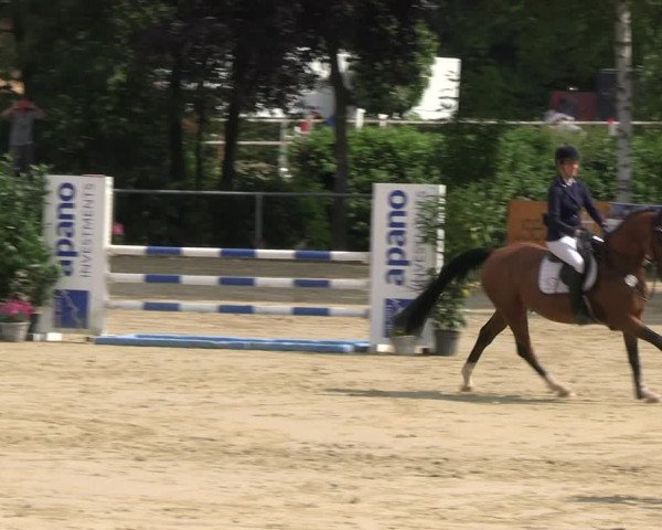 Reitturnier Schwerte 2023