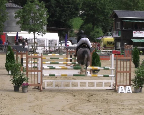 Reitturnier Schwerte 2023