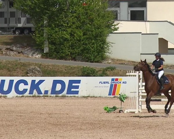 Reitturnier Kreuth/Opf. 2023