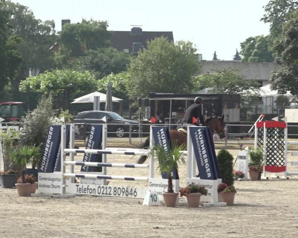 Rheinische Meisterschaften Langenfeld 2023