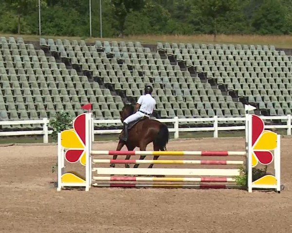 Reitturnier Kreuth/Opf. 2023