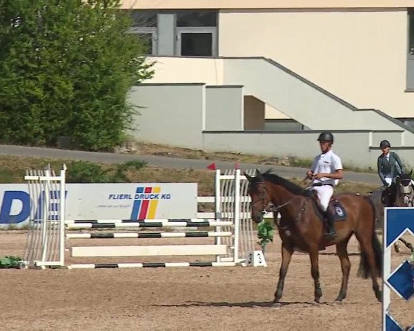 Reitturnier Kreuth/Opf. 2023