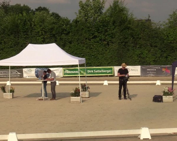 Sichtung zum Horse24-Fohlenchampionat 2023 in Fröndenberg