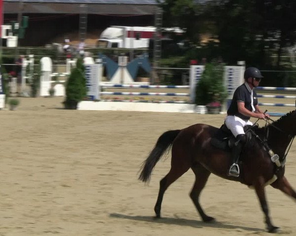 Reitturnier Schwerte 2023