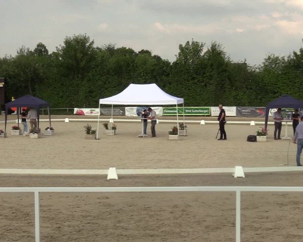Sichtung zum Horse24-Fohlenchampionat 2023 in Fröndenberg