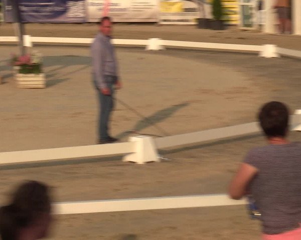 Sichtung zum Horse24-Fohlenchampionat 2023 in Fröndenberg
