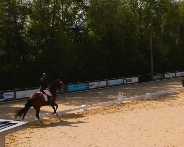 Reitturnier Uder, Reitanlage Kobold 2023