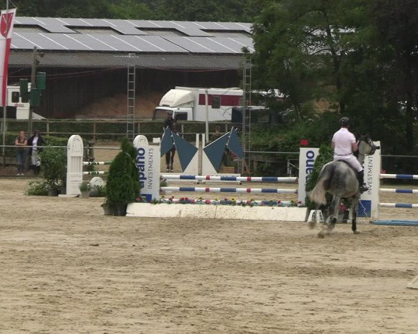 Reitturnier Schwerte 2023