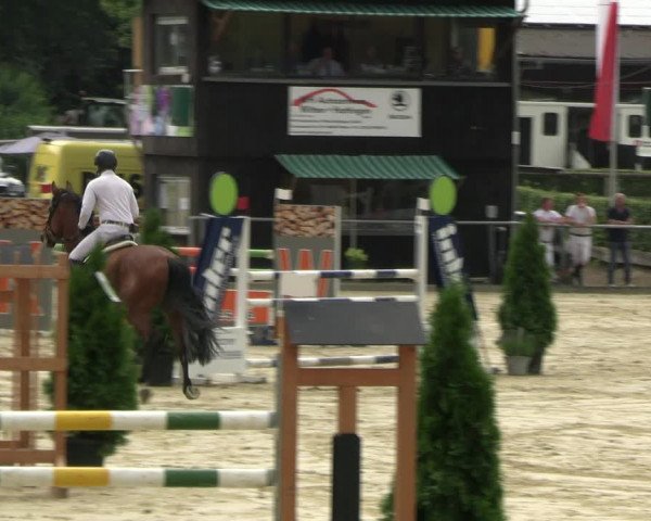 Reitturnier Schwerte 2023