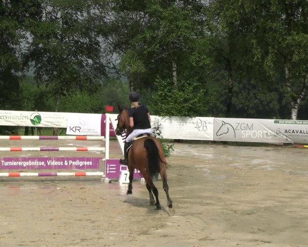 Reitturnier Schwerte 2023