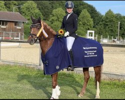 broodmare Die Blonde (German Riding Pony, 2014, from Donovan 119)