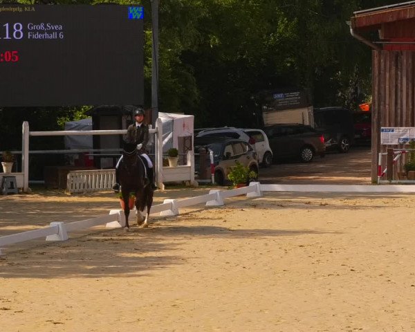 Reitturnier Uder, Reitanlage Kobold 2023