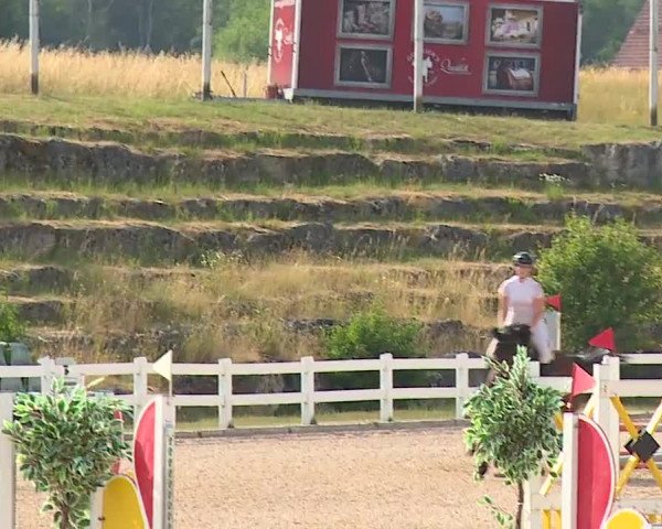 Reitturnier Kreuth/Opf. 2023