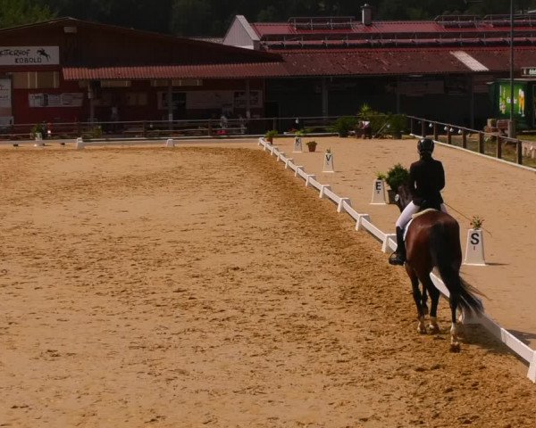 Reitturnier Uder, Reitanlage Kobold 2023
