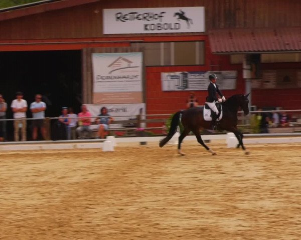Reitturnier Uder, Reitanlage Kobold 2023
