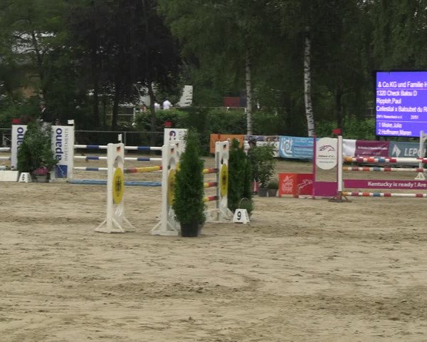 Reitturnier Schwerte 2023