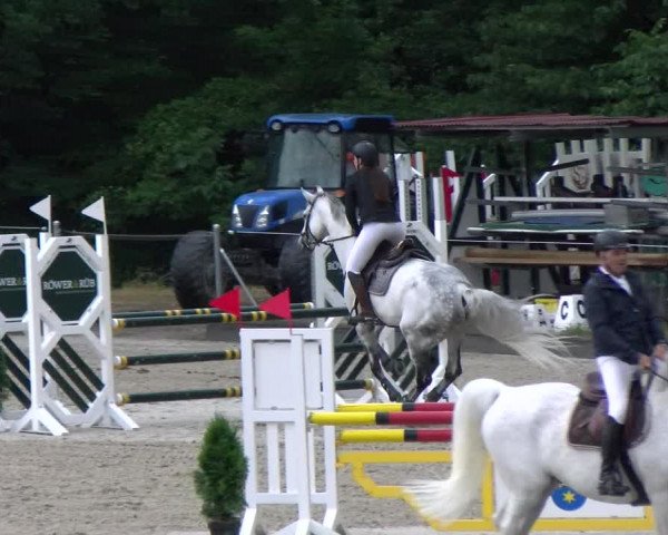 Reitturnier Maienfeld 2023