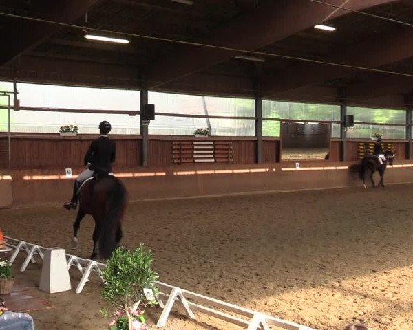 Reitturnier Schwerte 2023