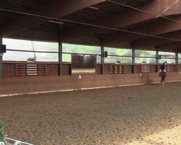 Reitturnier Schwerte 2023