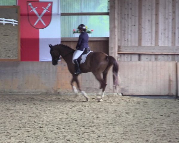 Reitturnier Schwerte 2023