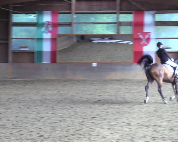 Reitturnier Schwerte 2023