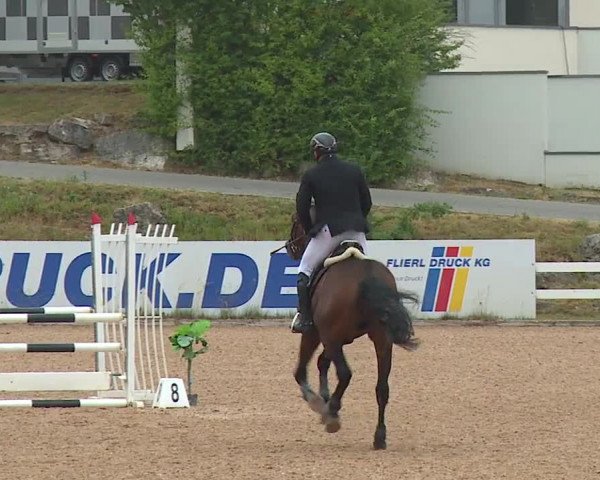 Reitturnier Kreuth/Opf. 2023