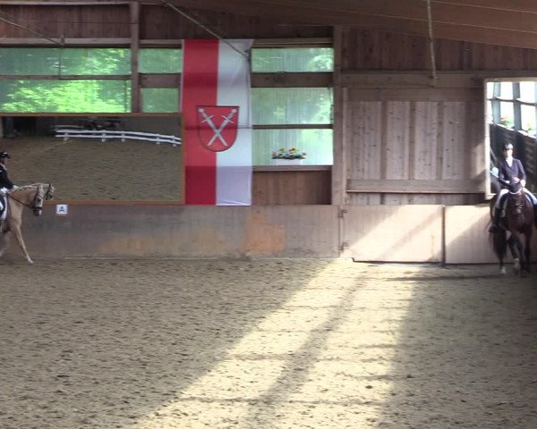 Reitturnier Schwerte 2023