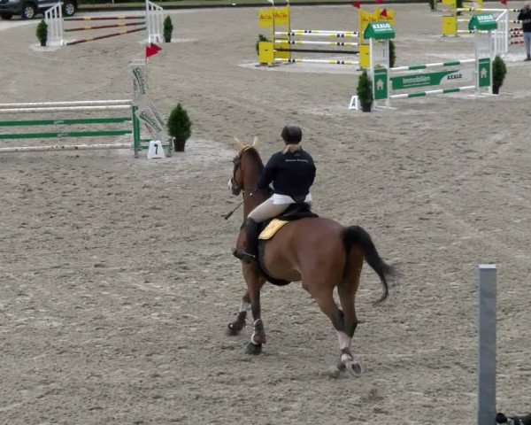Reitturnier Maienfeld 2023