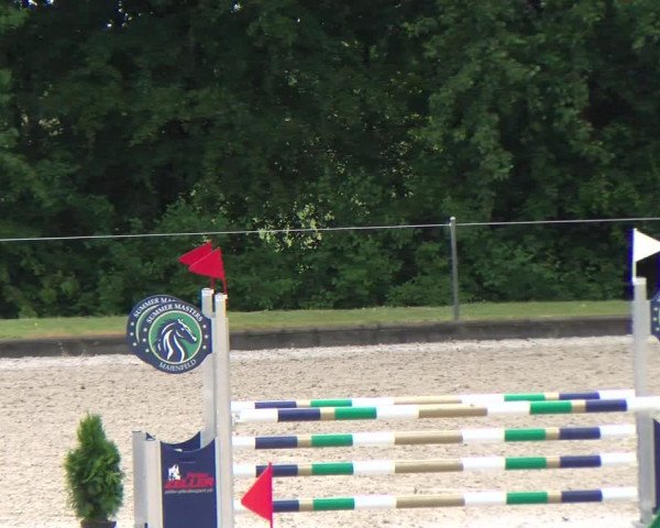 Reitturnier Maienfeld 2023