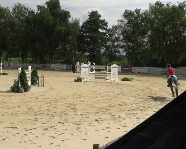 Reitturnier Schwerte 2023