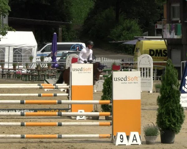 Reitturnier Schwerte 2023