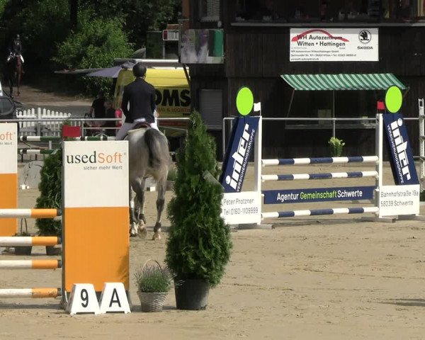 Reitturnier Schwerte 2023