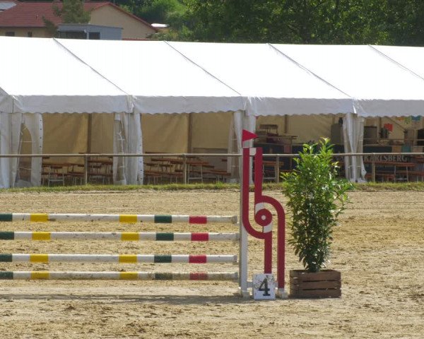 Reitturnier Heiligenwald 2023