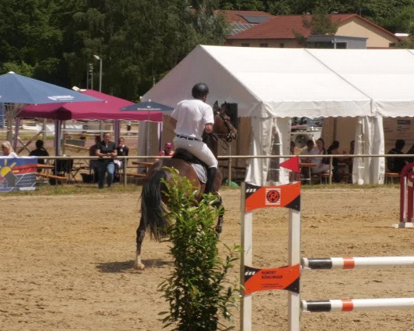 Reitturnier Heiligenwald 2023