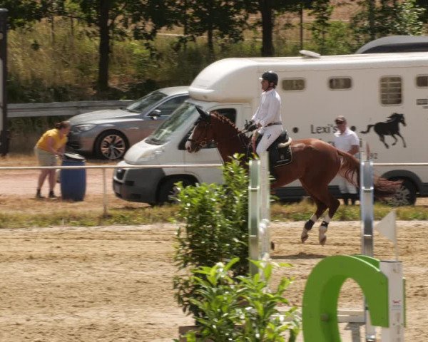 Reitturnier Heiligenwald 2023