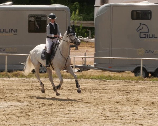 Reitturnier Heiligenwald 2023