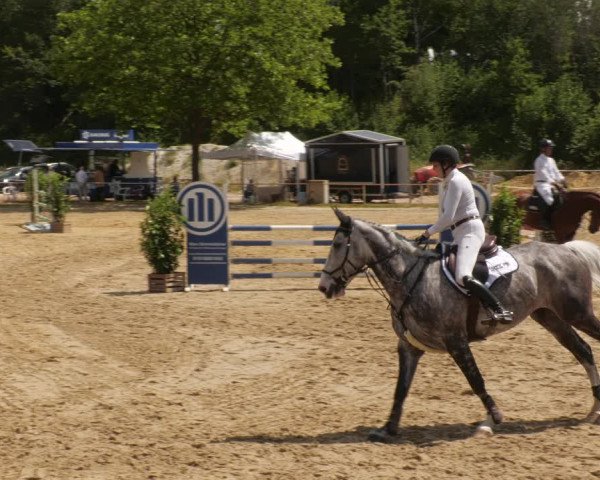 Reitturnier Heiligenwald 2023