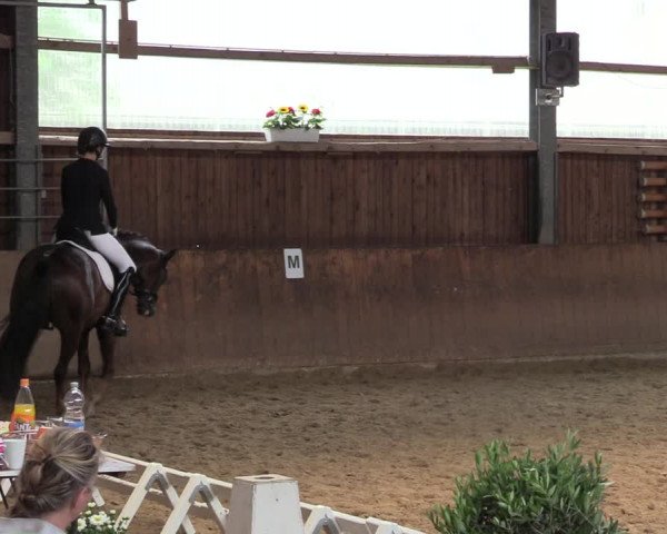 Reitturnier Schwerte 2023