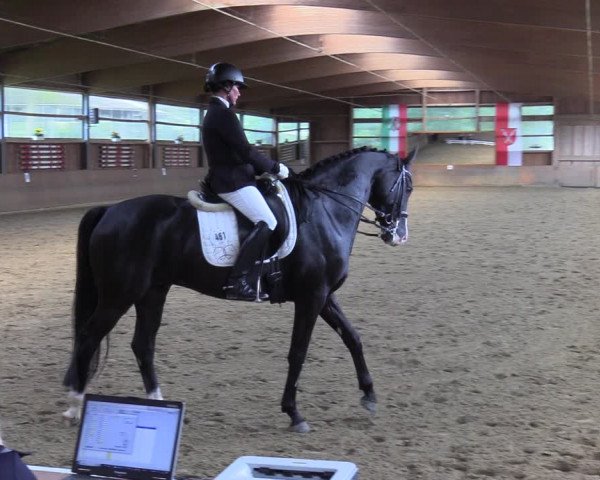 Reitturnier Schwerte 2023
