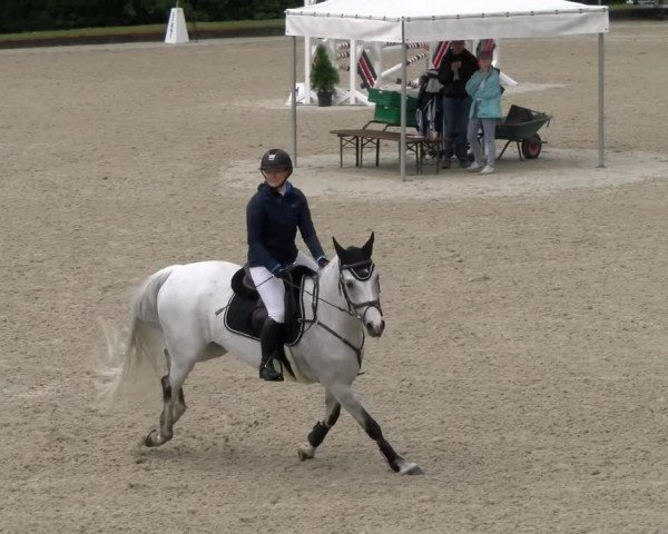 Reitturnier Maienfeld 2023