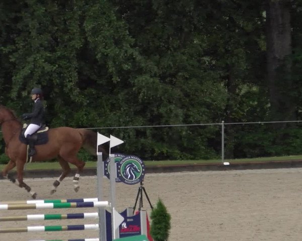 Reitturnier Maienfeld 2023